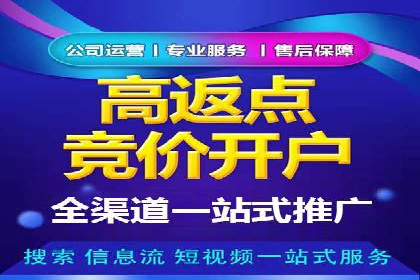 案例分析：SEM广告助力中小企业崛起